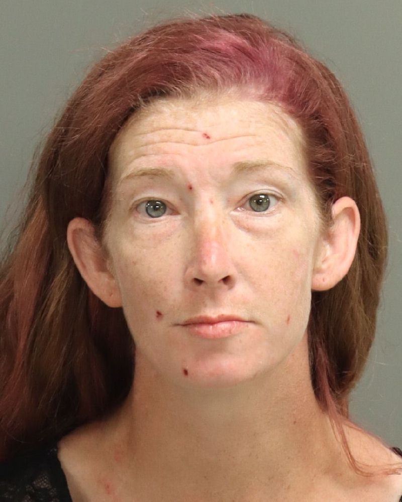 Booking photo of Amanda Pope