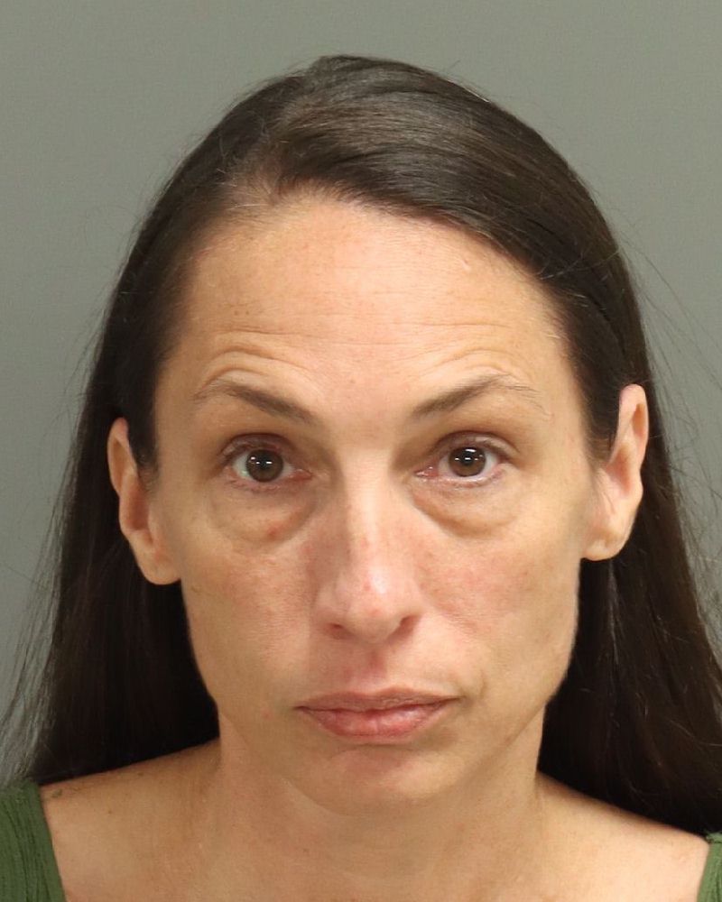 Booking photo of Amanda Lane