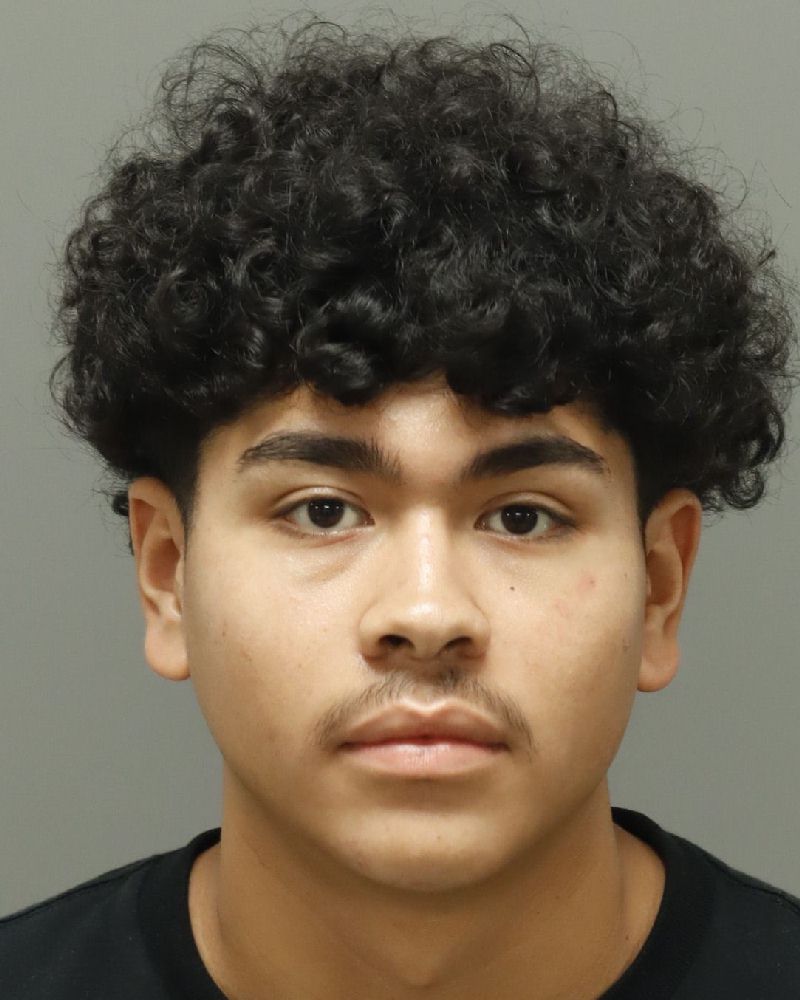 Pablo Trevino-domingue booking photo