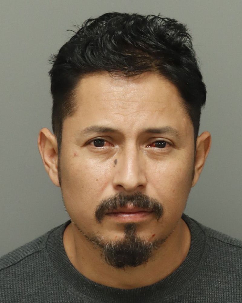 Booking photo of Florencio Mejia-castillo