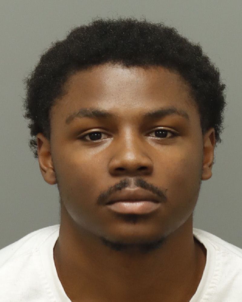 Booking photo of Damien Lewis