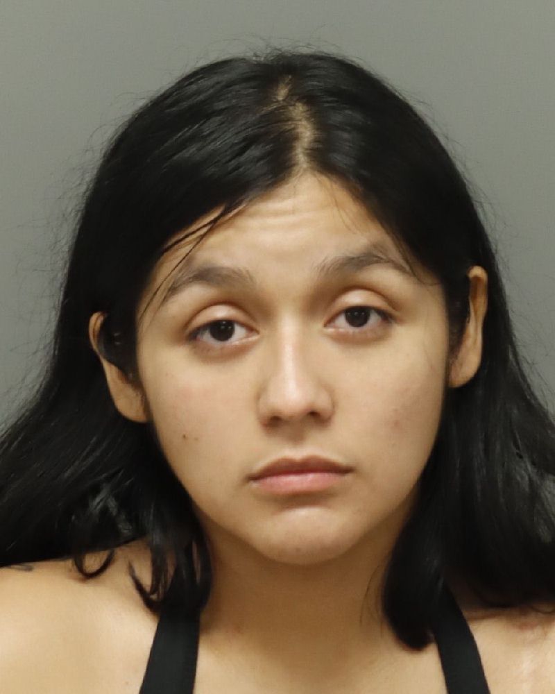 Booking photo of Tamara Gamez-martinez