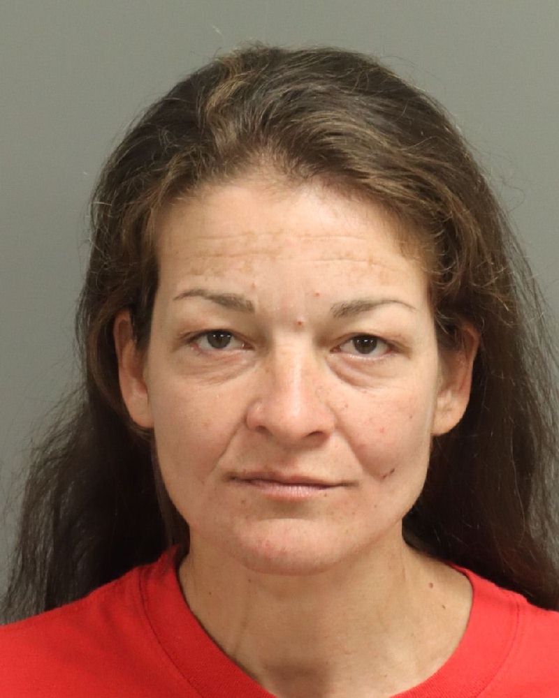Booking photo of Daniela Ferreira