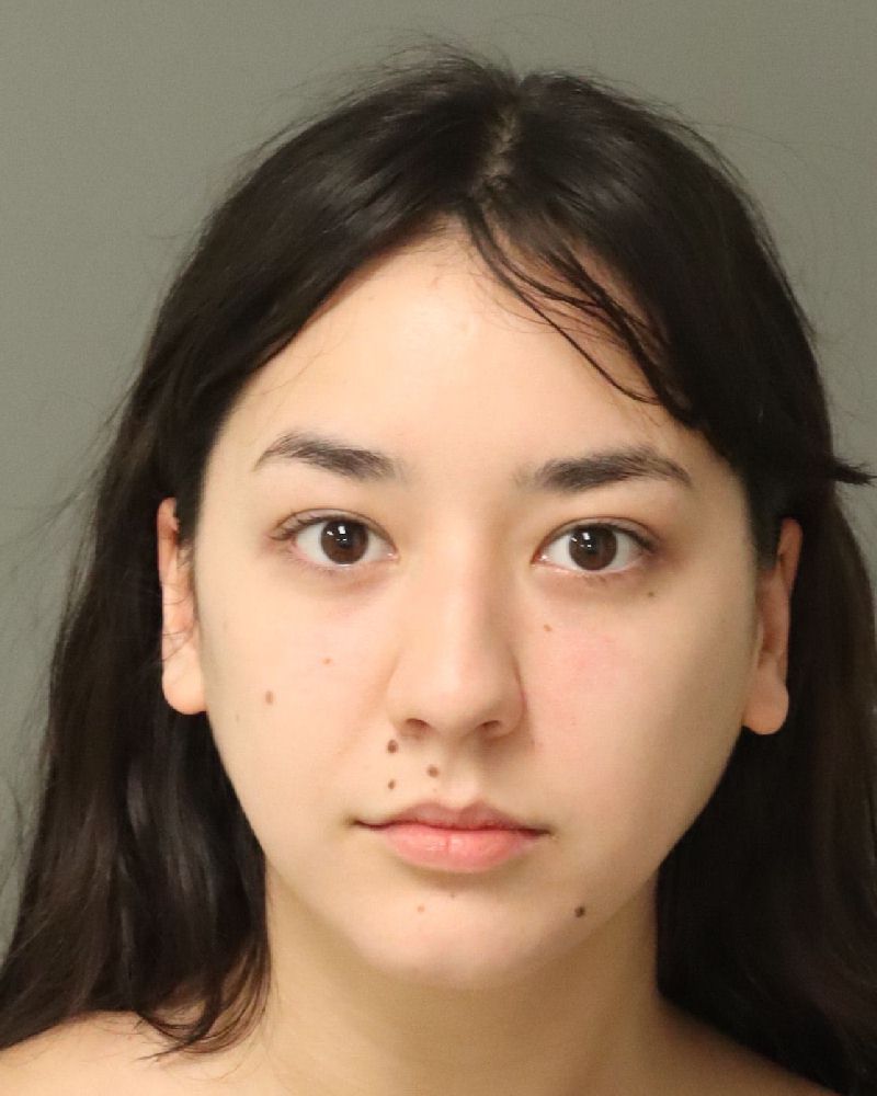 Booking photo of Brianna Land
