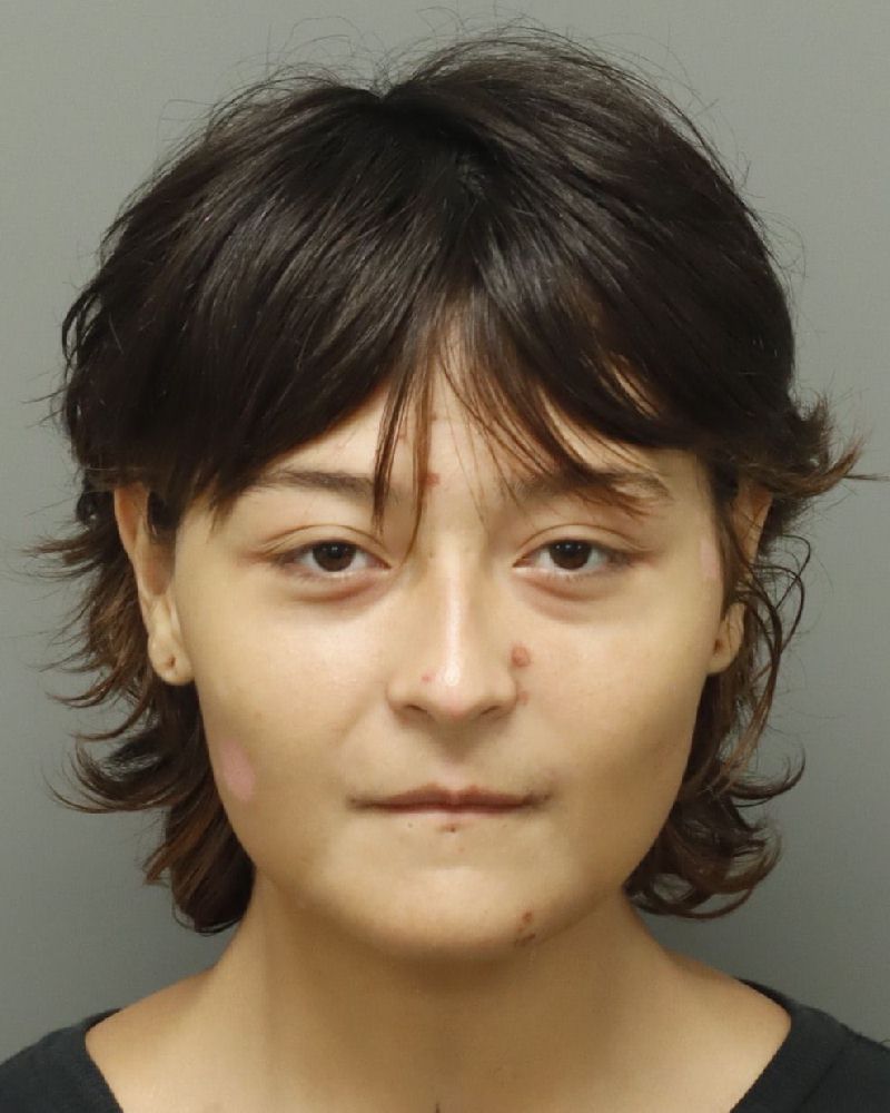 Booking photo of Valerie Pinson