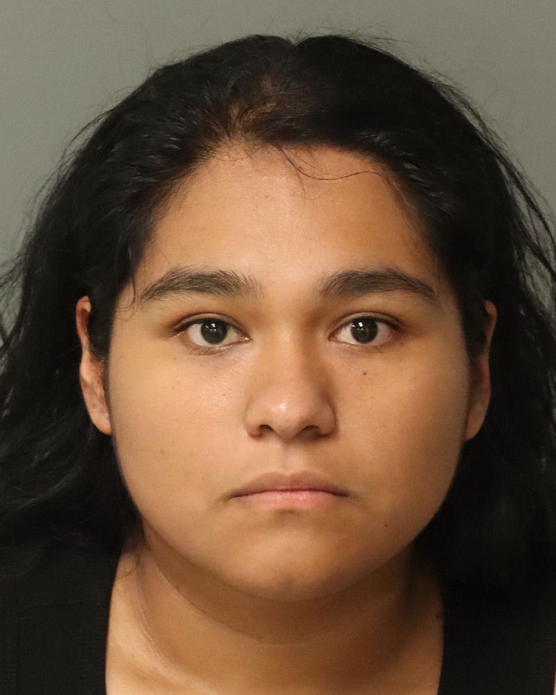 Booking photo of Danna Diaz-lopez