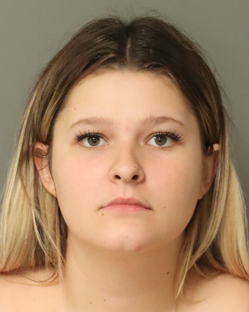 Booking photo of Hayden Courtney