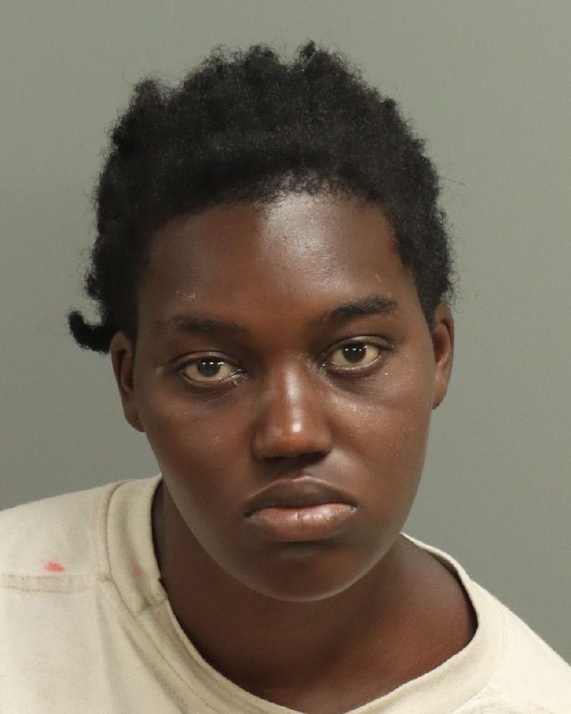 Booking photo of Lauryn Lassiter