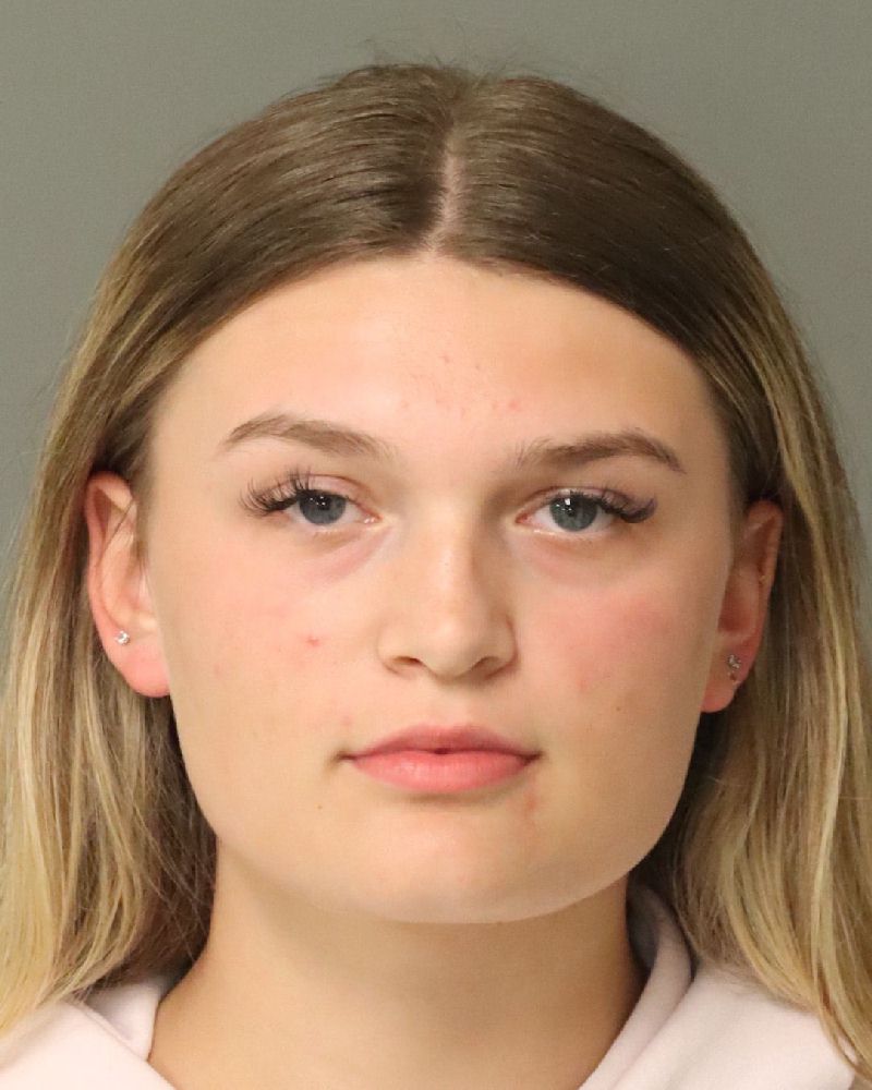 Booking photo of Elliya Rosin