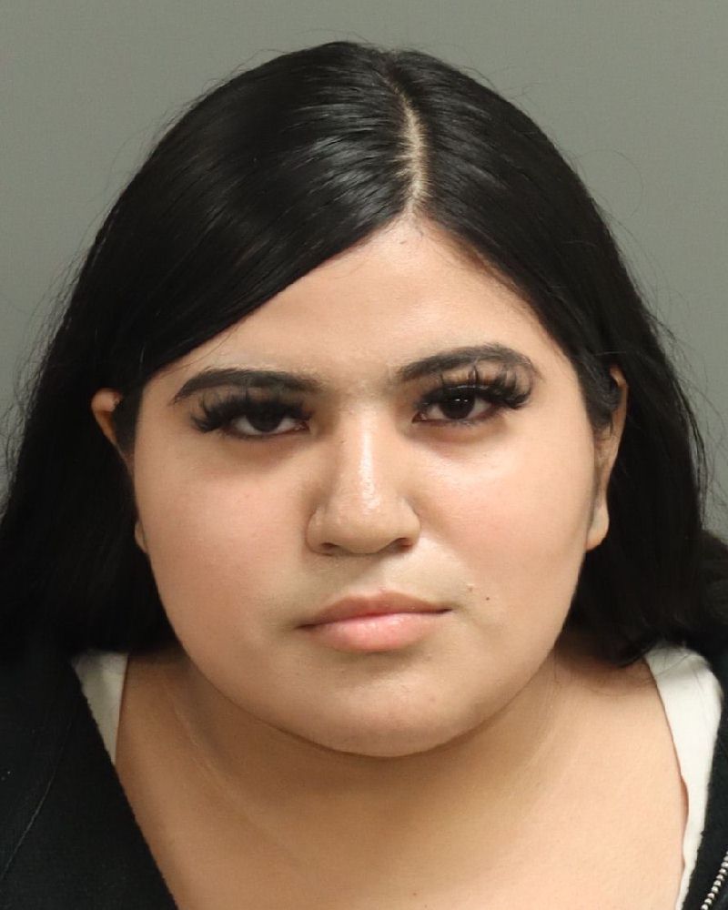 Booking photo of Evelin Perez-martinez