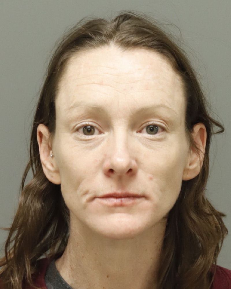 Booking photo of Andrea Horton