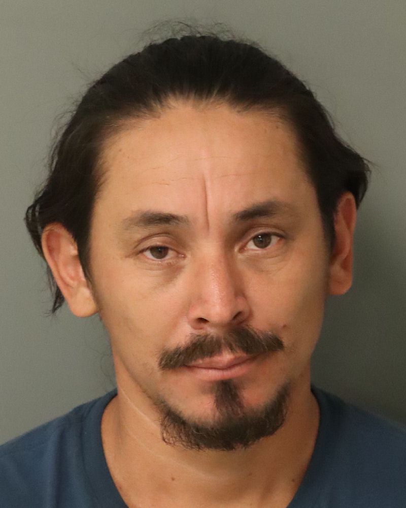 Dennys Martinez-martine booking photo