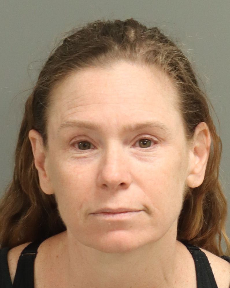 Booking photo of Carol Turner
