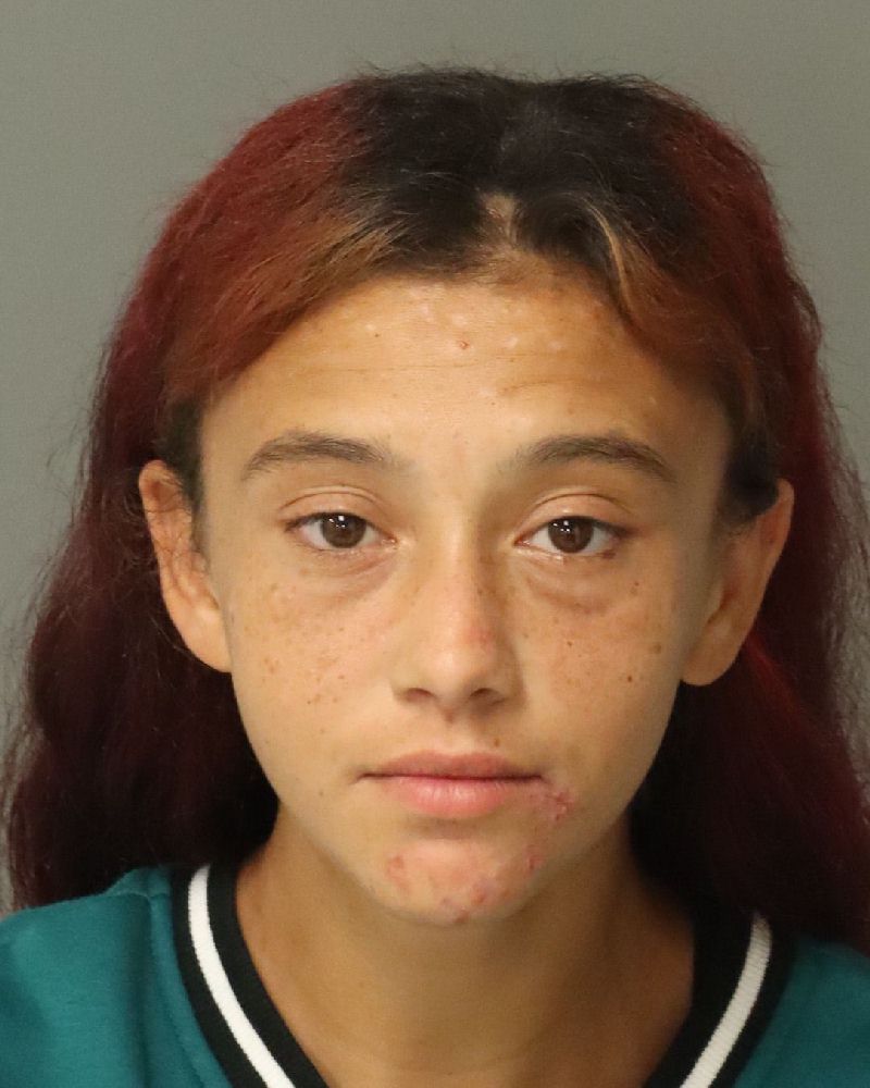Booking photo of Alexandra Vieira