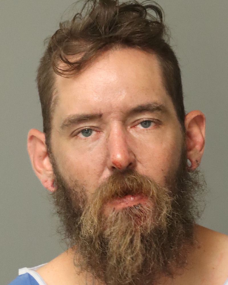 Booking photo of David Ringenberg