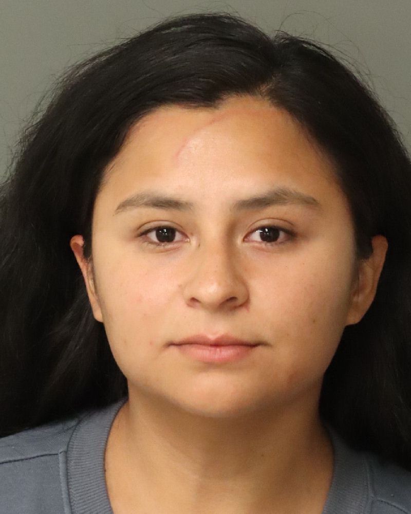 Booking photo of Diana Pego-delicid