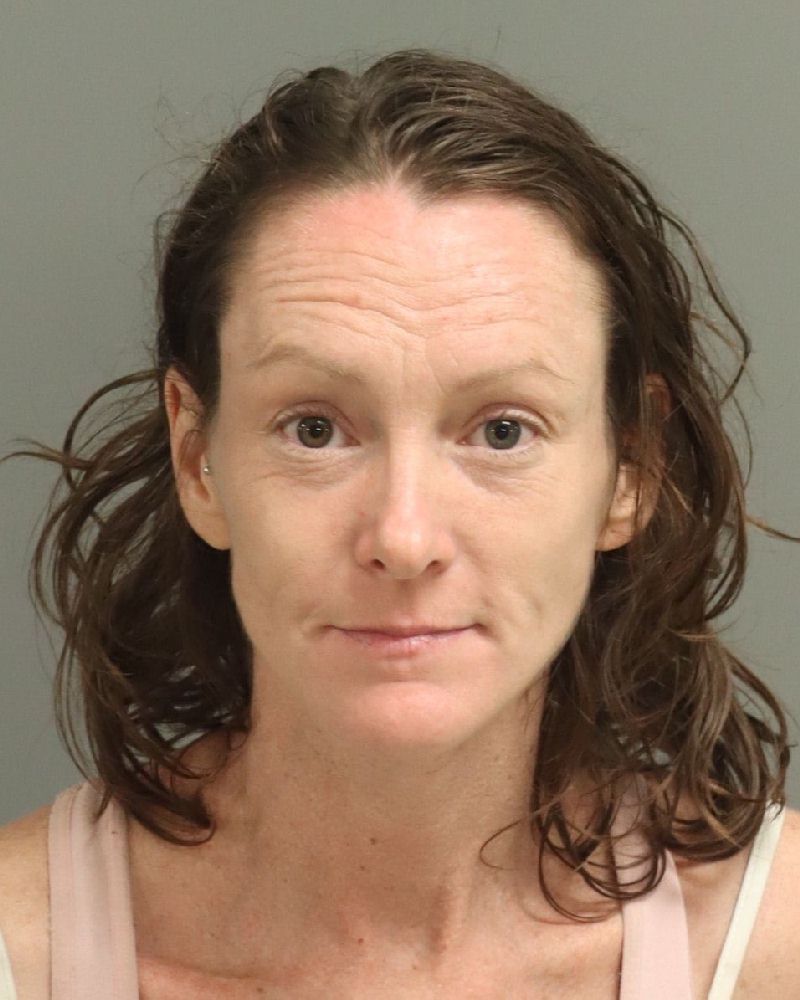Booking photo of Andrea Horton
