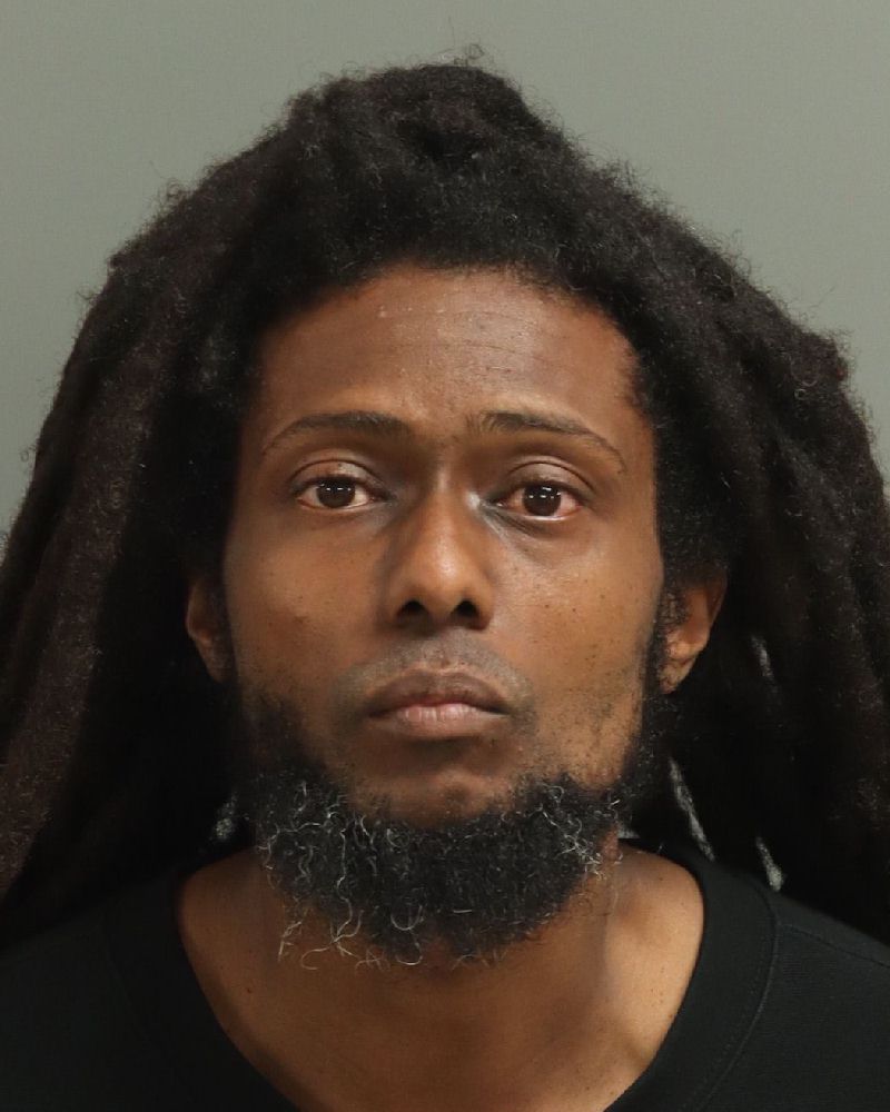 Booking photo of Jamie Simmons