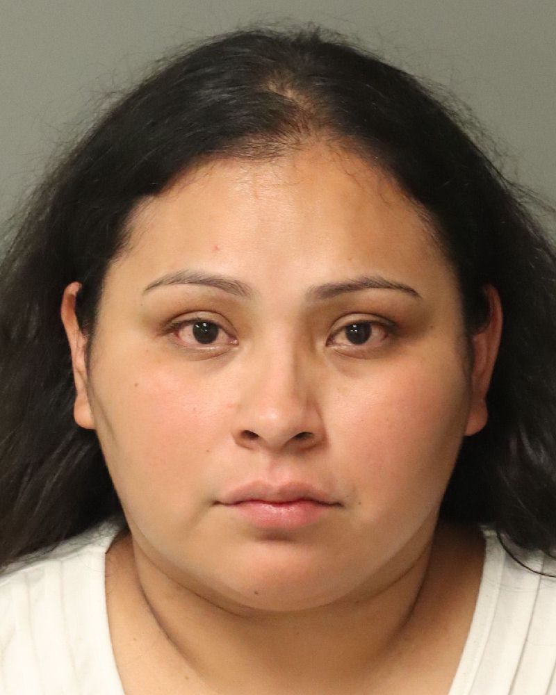 Booking photo of Ana Romero