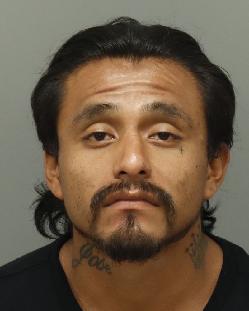 Jose Mendoza booking photo