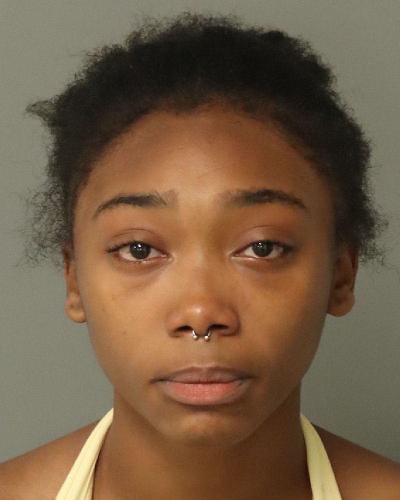Mckenzie Young booking photo