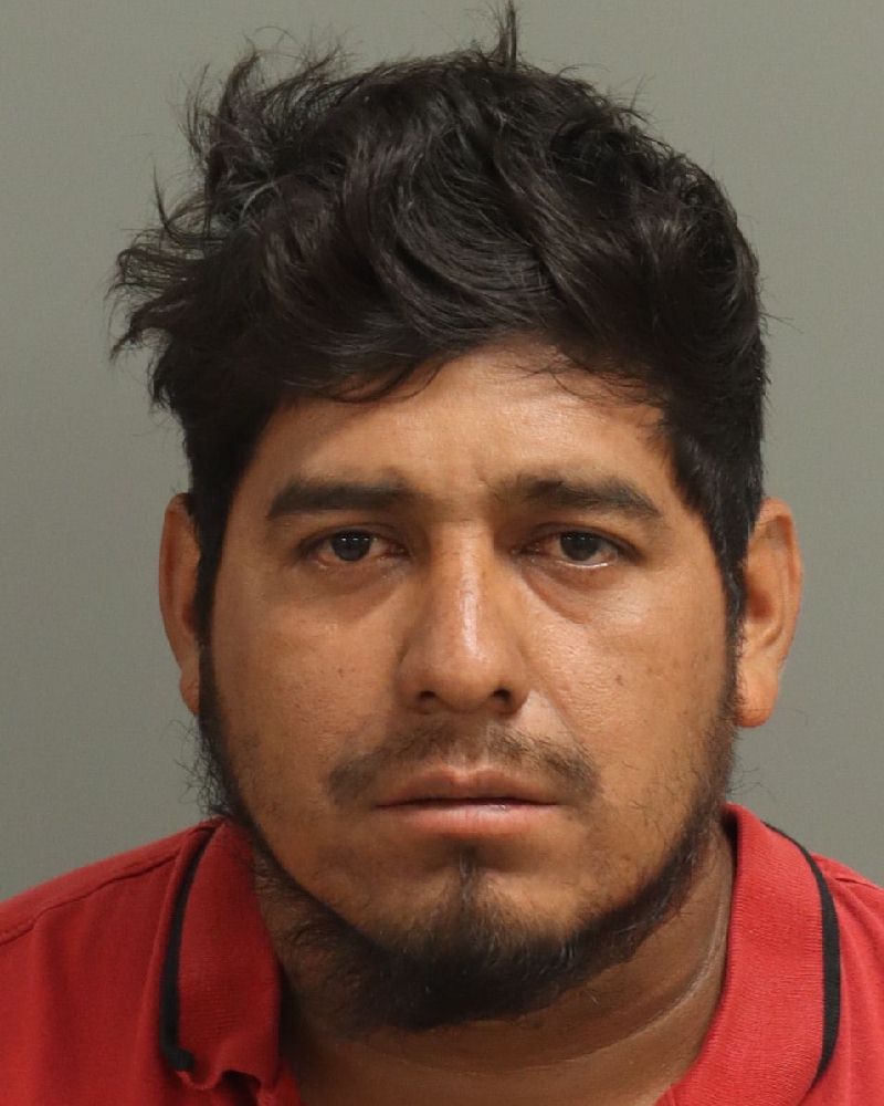 Booking photo of Alfredo Perez-martin