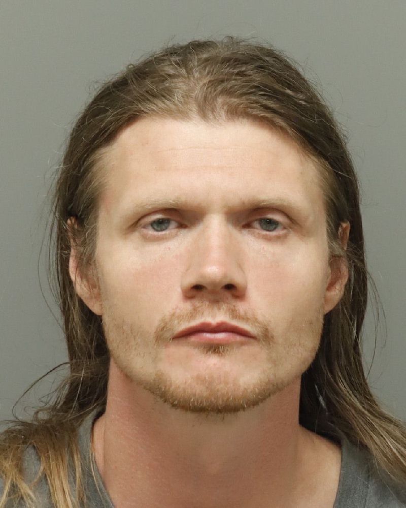 Noah Freedman booking photo