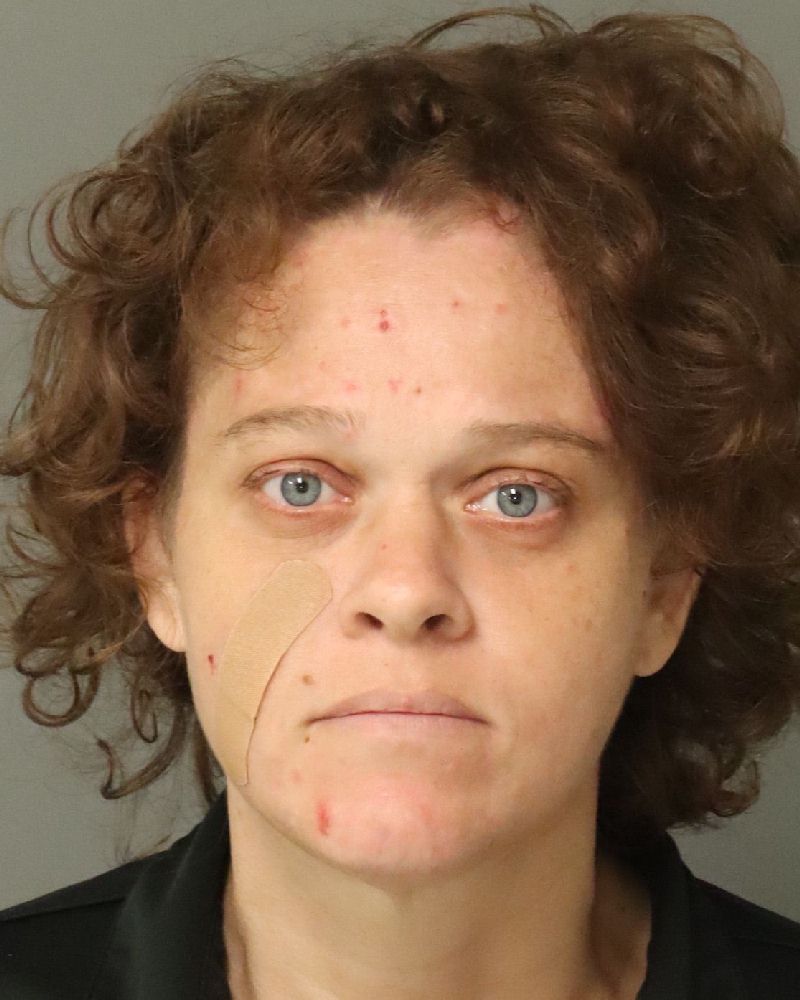 Booking photo of Camie Ramos