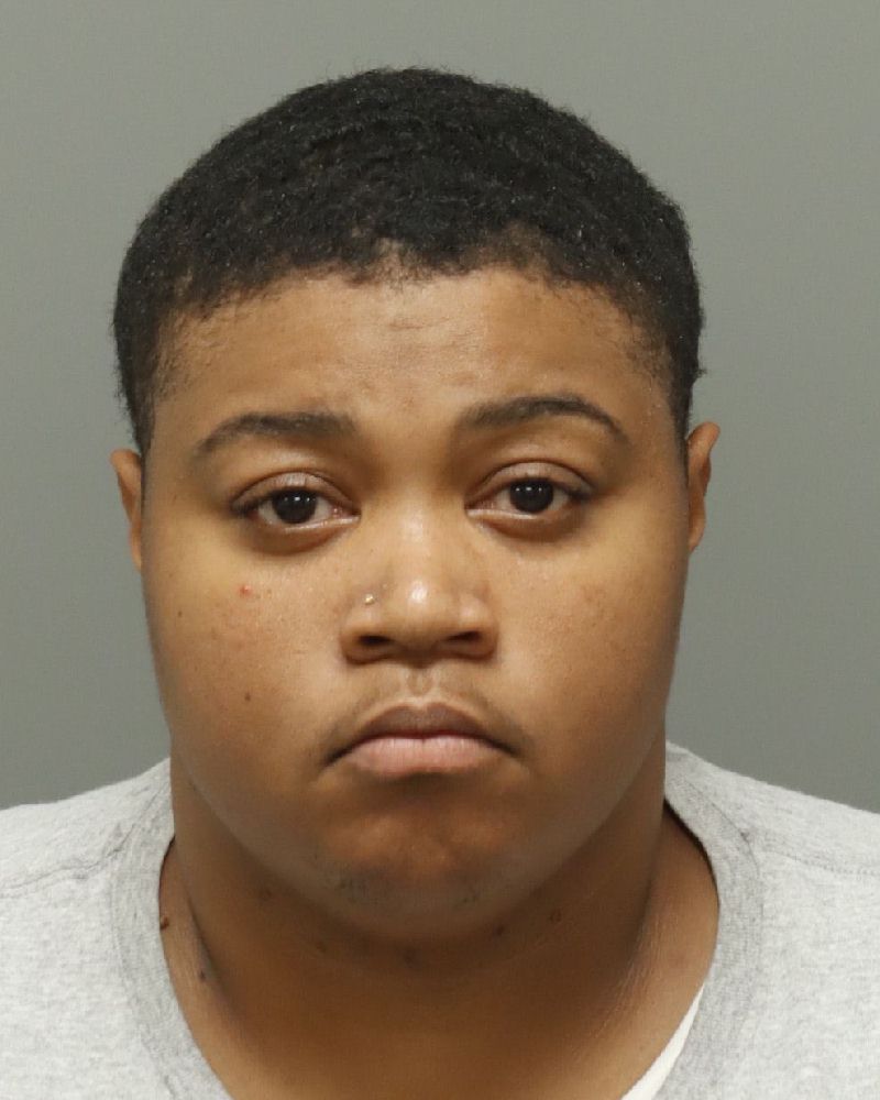 Joyce Wood booking photo