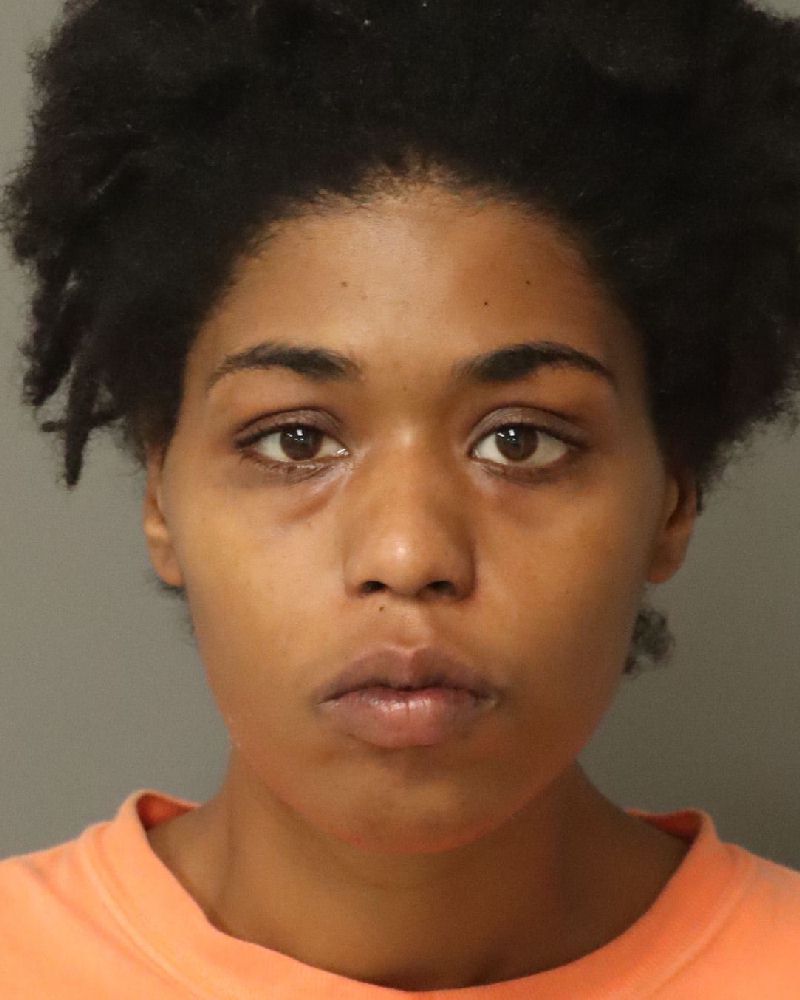 Jessica Johnson booking photo