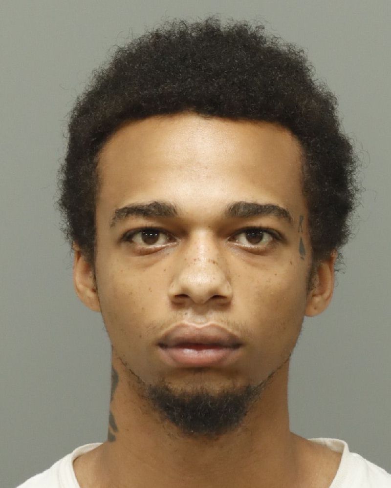 Booking photo of David Lane