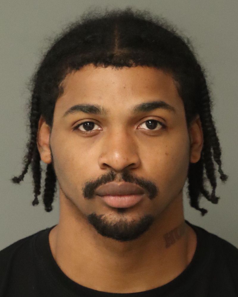 Booking photo of Dominic Phillips