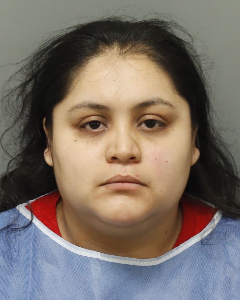 Booking photo of Maria Estrada-martinez