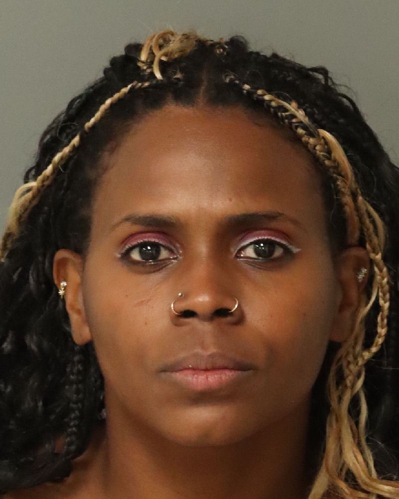 Booking photo of Anais Roque