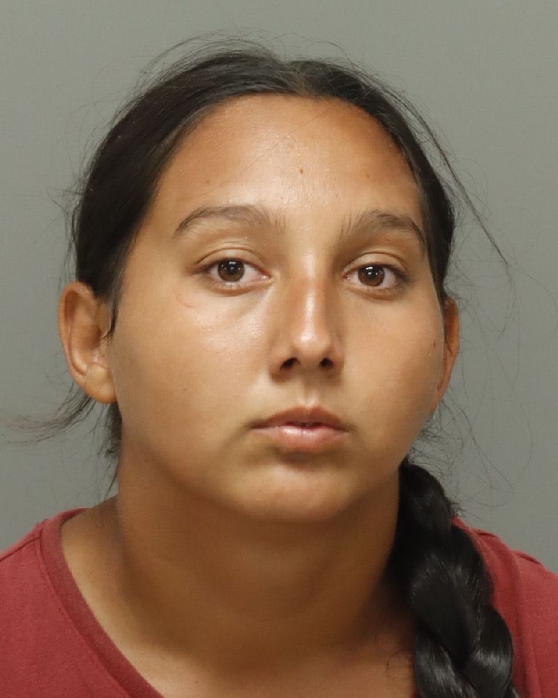 Booking photo of Maria Dumitru