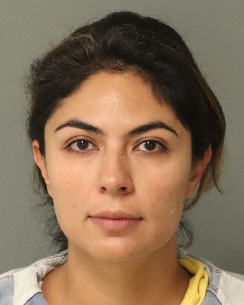 Aleida Montufar booking photo