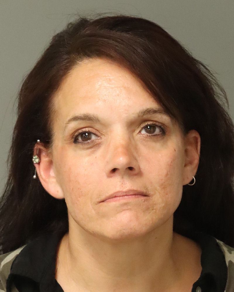 Booking photo of Susan Dombrowski