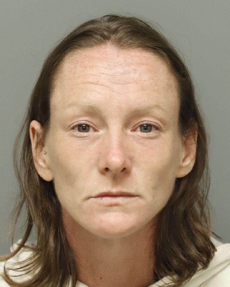 Andrea Horton booking photo