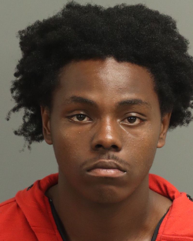 Booking photo of La Mcneil