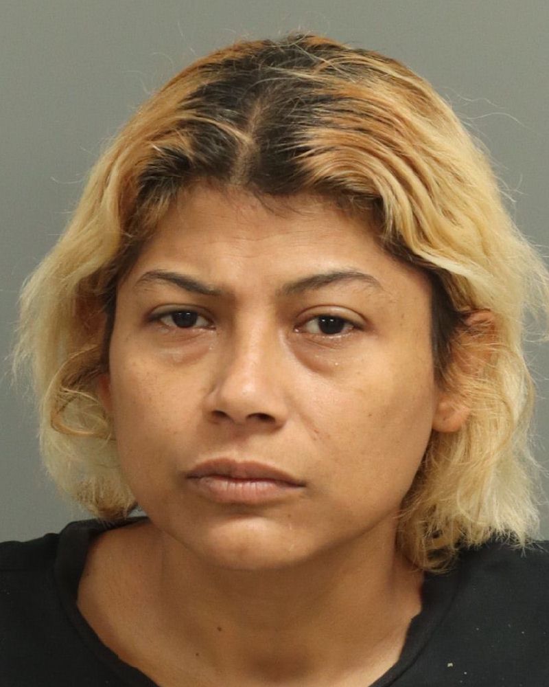 Booking photo of Nora Ortiz-garcia