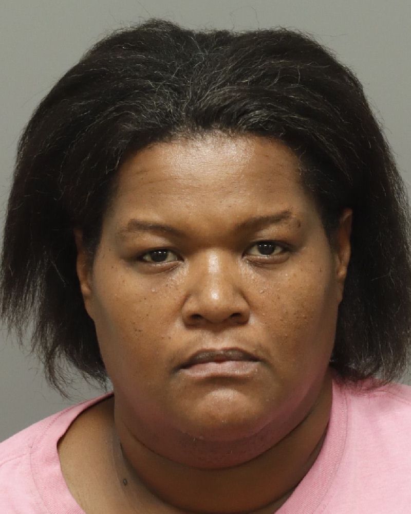 Booking photo of Lori Dunn
