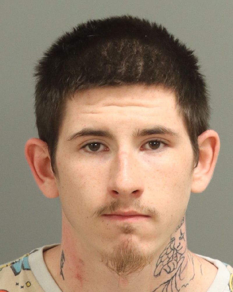 Booking photo of David Arabia