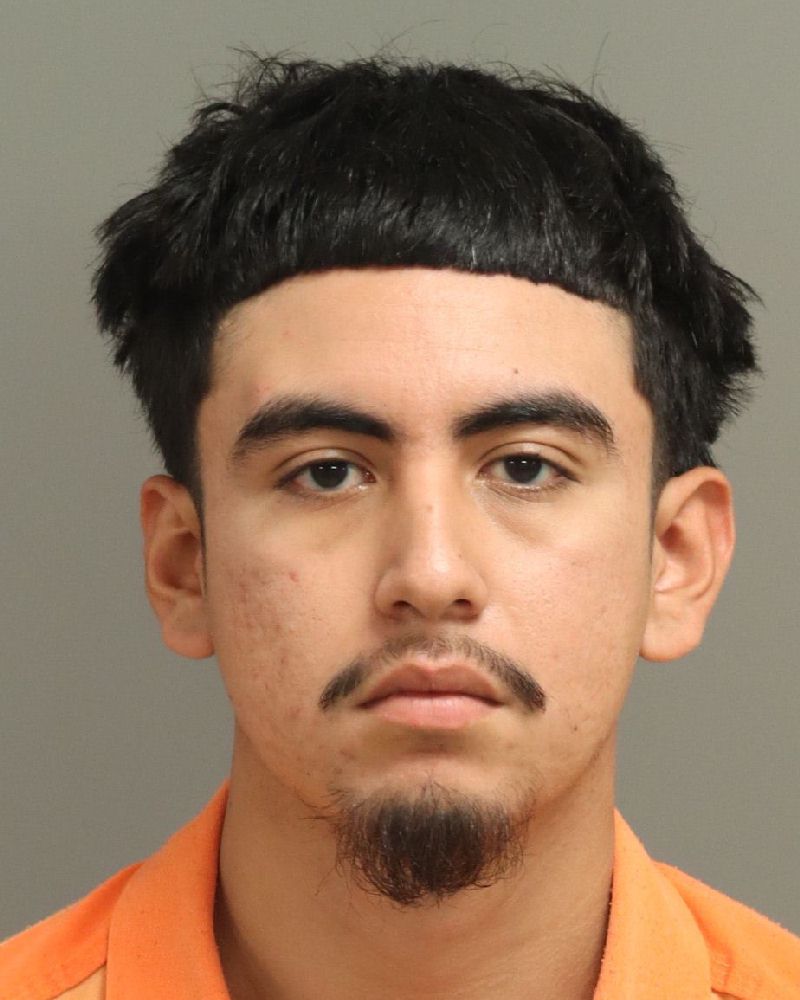 Raul Castillo-acevedo booking photo