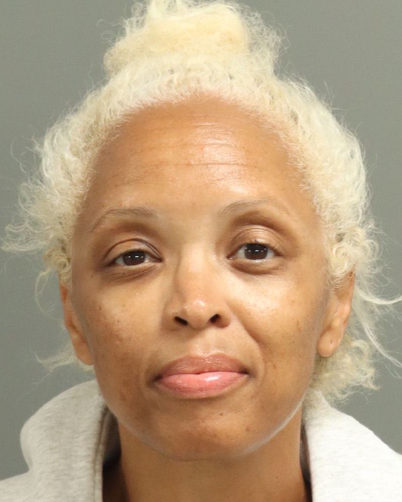 Booking photo of Lisa Matas
