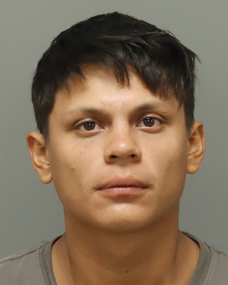 Booking photo of Yayselis Turcios-machado