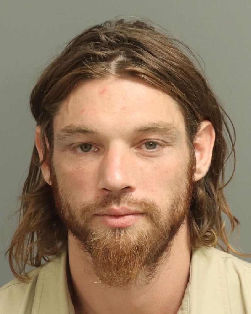 Booking photo of Travis Prince