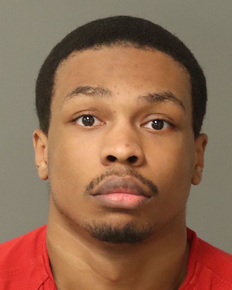 Booking photo of Kynami Elfe