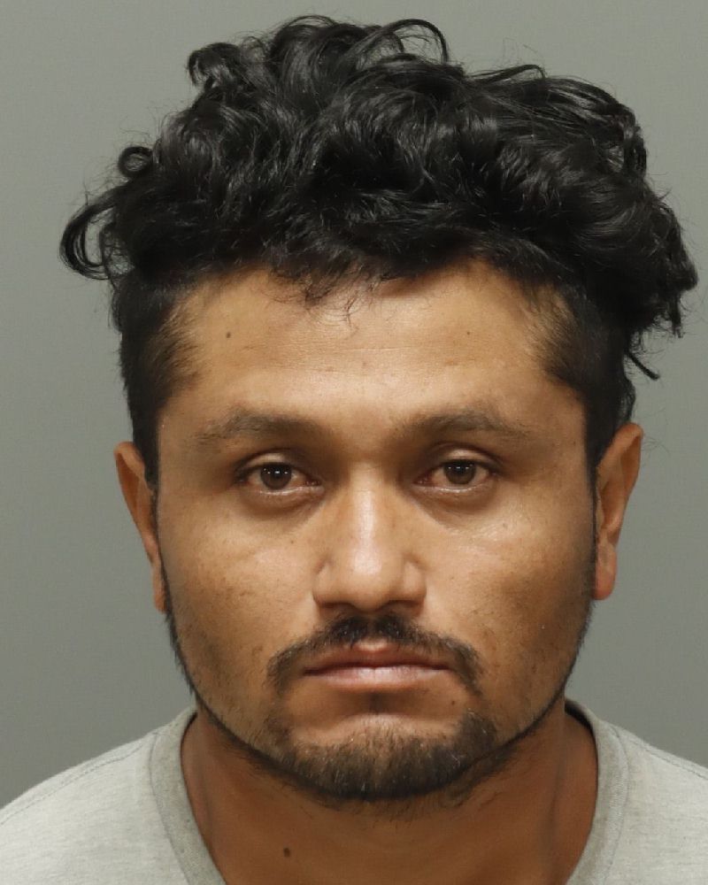 Booking photo of Alvaro Ramos-gallardo