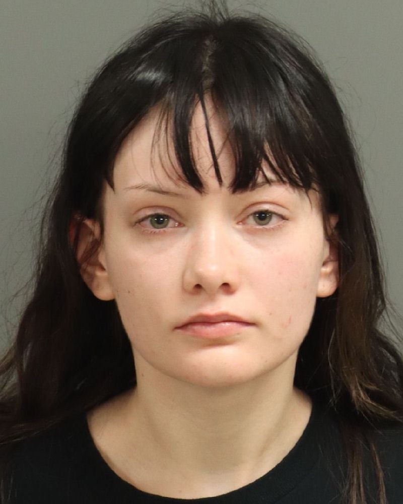 Nicole Hughes booking photo
