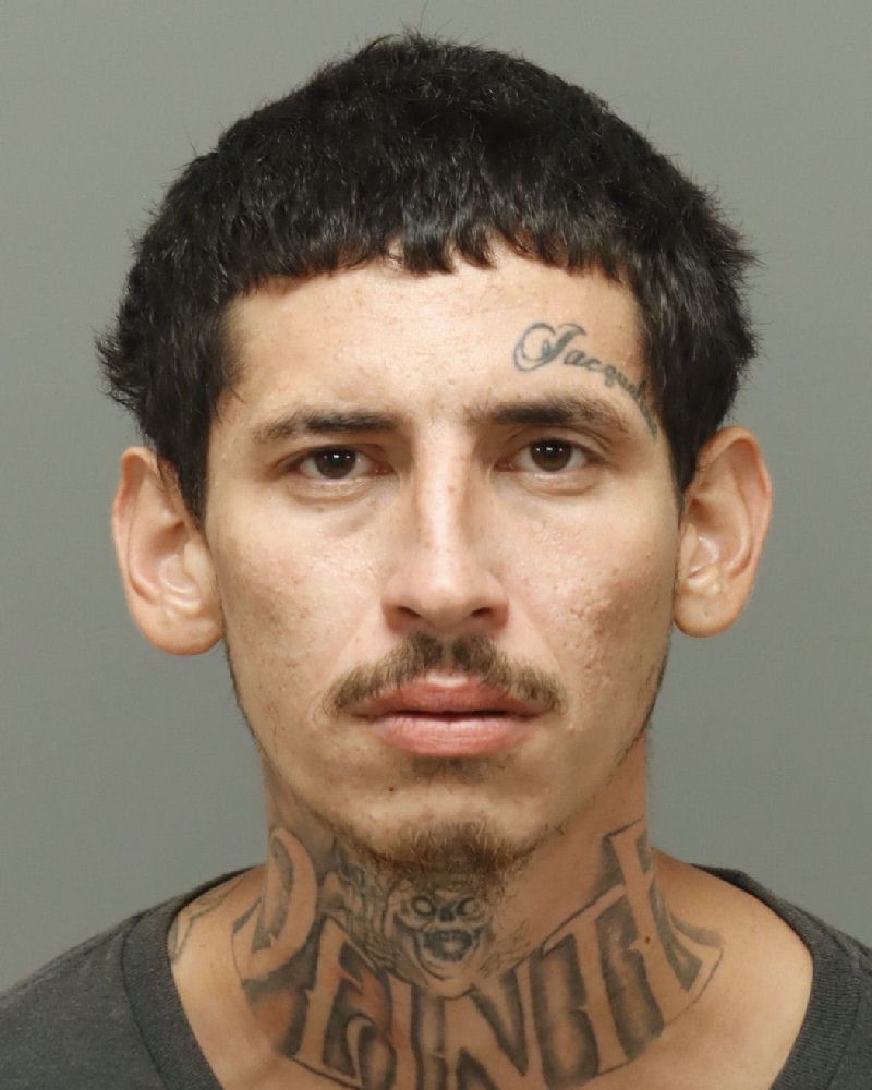 Booking photo of Emerson Herrera-alfaro